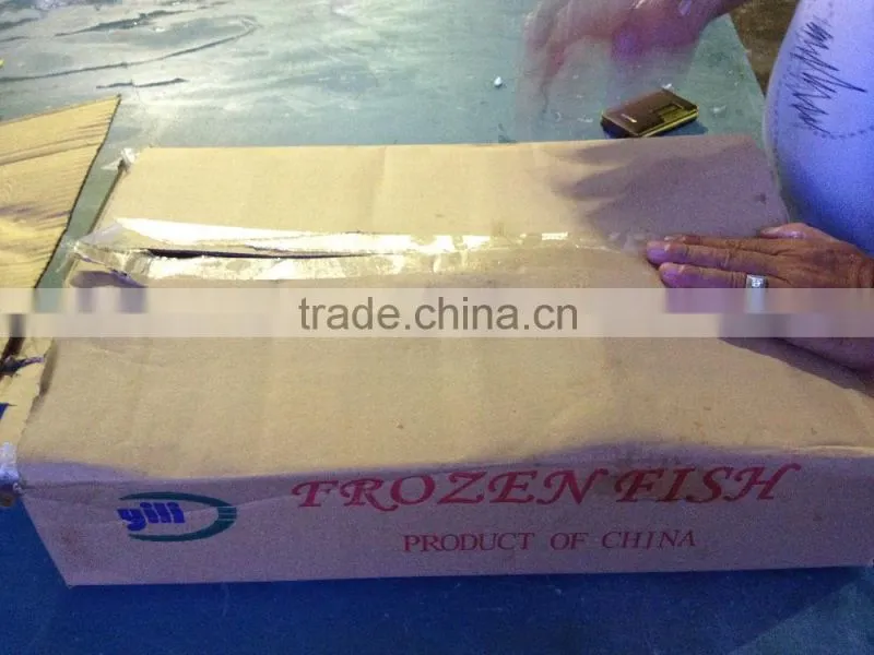 China supplier frozen tilapia