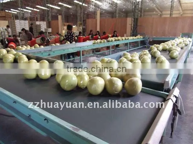 2015 Fresh GuanXi honey pomelo