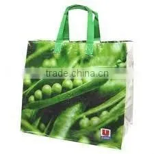 Cute Plastic Shopping Bags