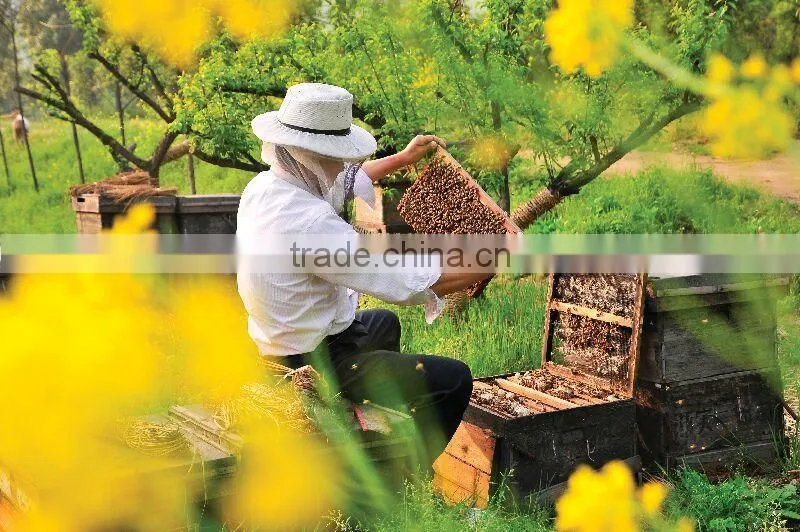 2015 Natural Nutrition Rape Fresh Royal Jelly