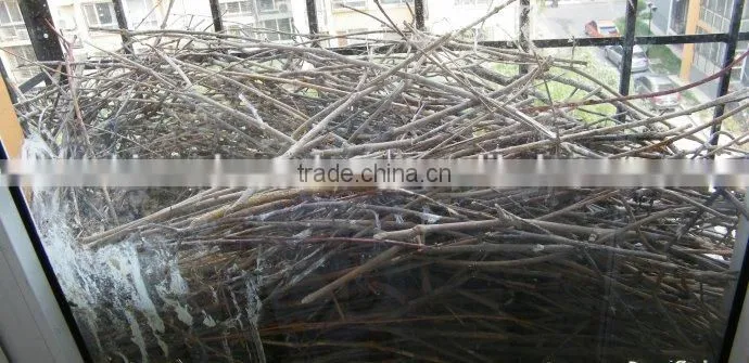 CS 2015 CE small wood tree branch crusher crushing machine hammer mill grinding machine