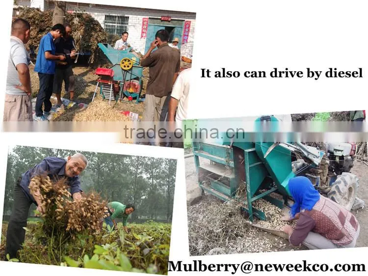 Neweek agricultural 99% picking rate dry peanut picker machine