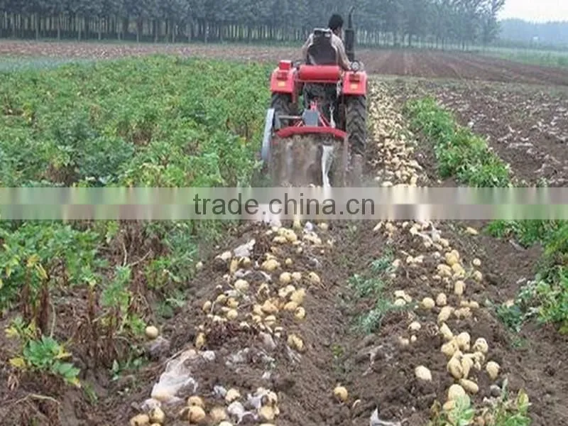 Rich Experience Manufacturing potatoes harvester machine (Skype:mayjoy61)
