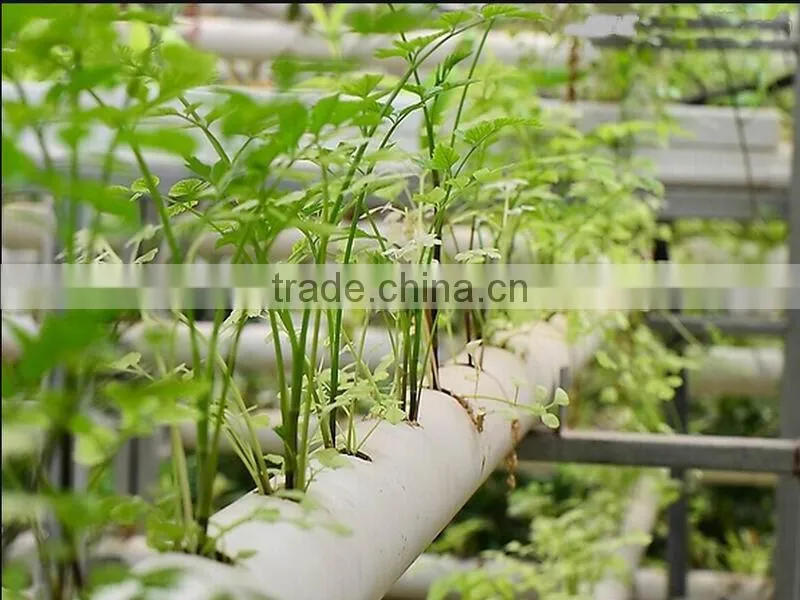 HDPE LDPE irrigation pipe