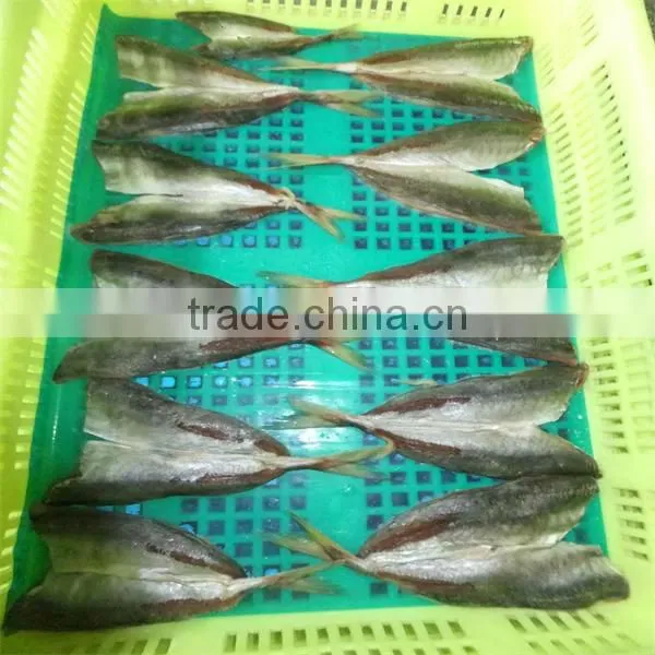 pre fried breaded frozen horse mackerel