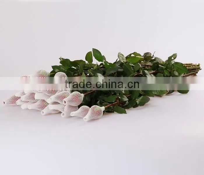 Cheap wholesale Natural Fresh Cut Rose Flower Sweet Pink 20Stems/Bundle Export Flower wholesale From China