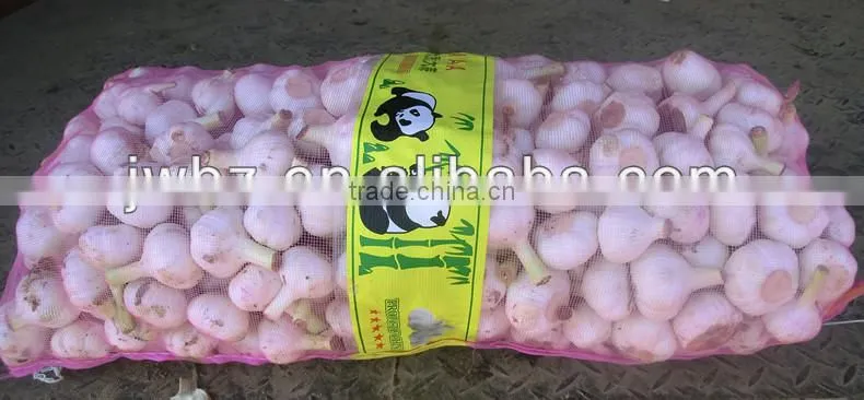 Packing Pe Garlic Mesh Bag
