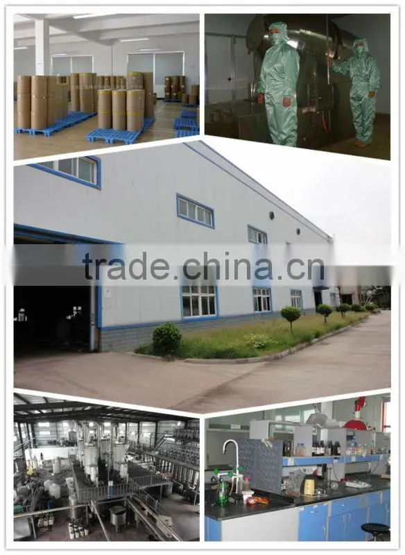 apple polyphenols extract