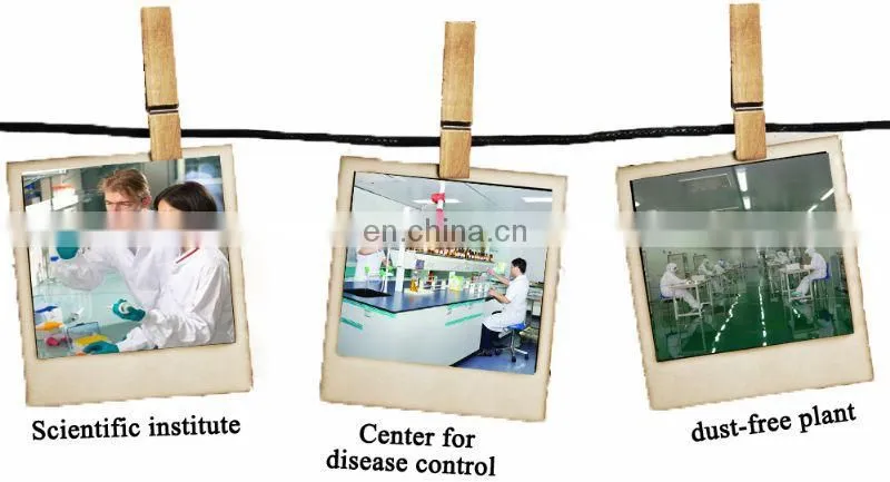 China manufacturer medical laboratory equipment used dental wooden school lab tables for sale