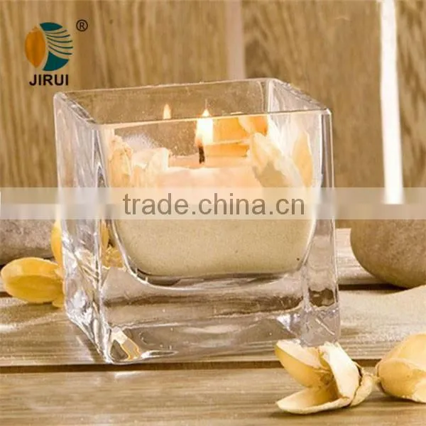 transparent square glass tissue culture vessel jar with plant