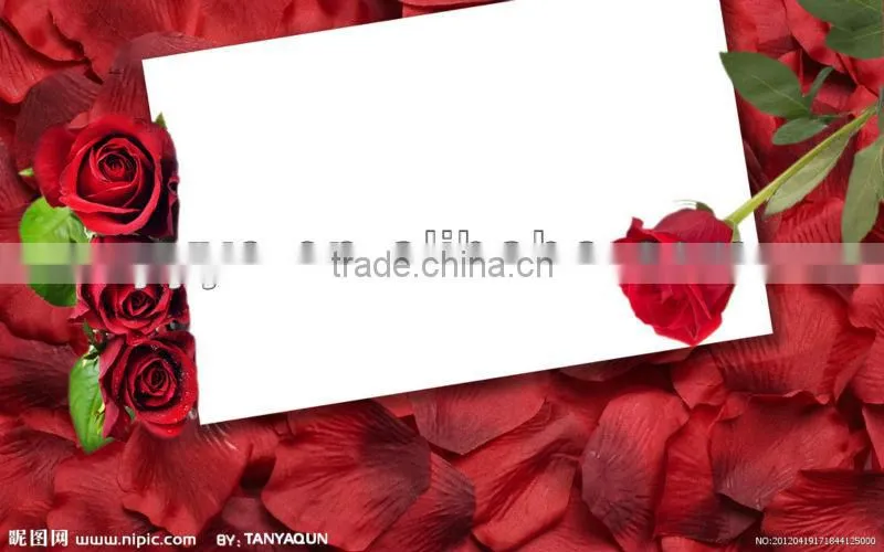 red rose printing paper photo frame