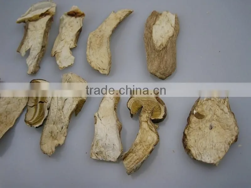 Dried Boletus/Porcini Edulis mushroom slices Top grade