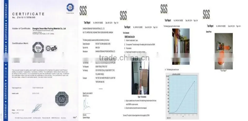 IOS 9001 and CE Certification 10T cargo lashing belt with hooks