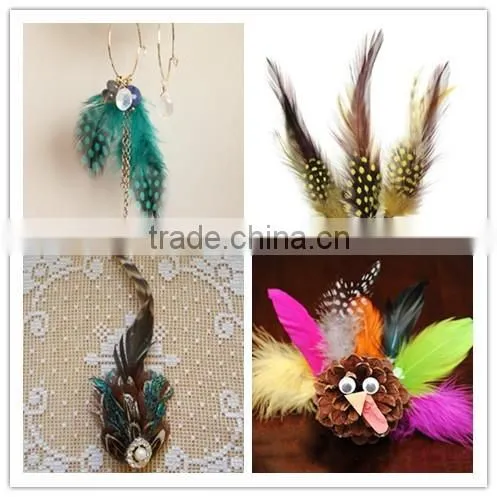 Guined Fowl Spot Feather For Handmade Gift Decoration