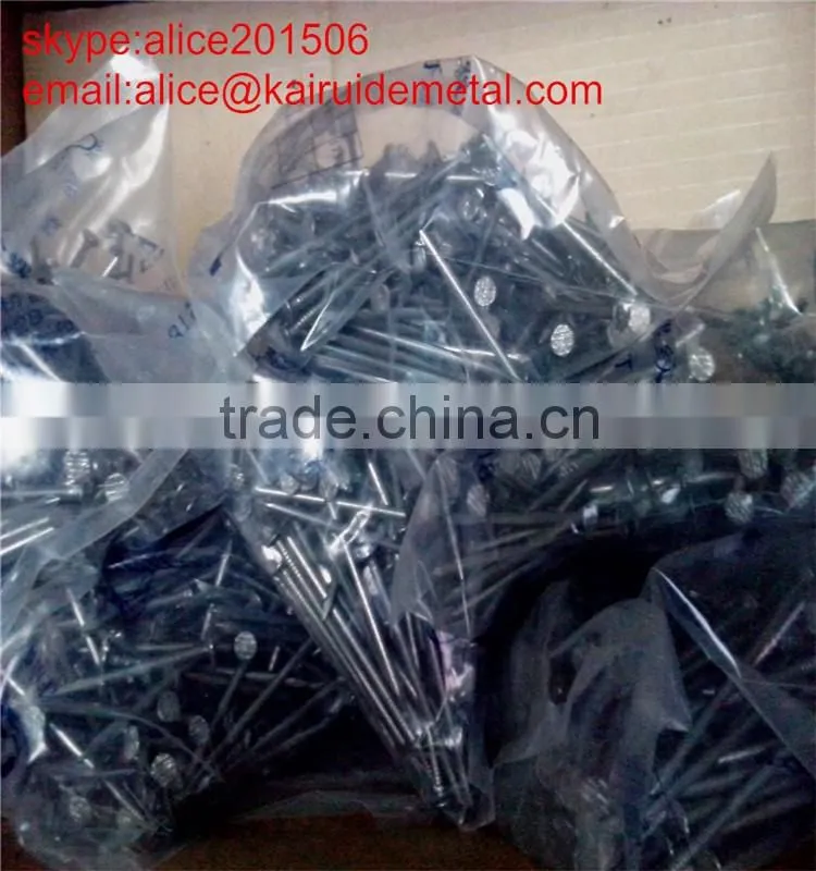 high quality factory produce common iron nail/China supplier production common iron wire nail