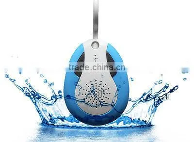 bluetooth speaker with fm radio ( NT-BTS19)