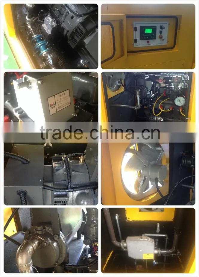 ricardo 25kw biogas generator with CHP