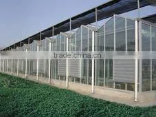 Industrial exhaust ventilation air fan blower with ac motor