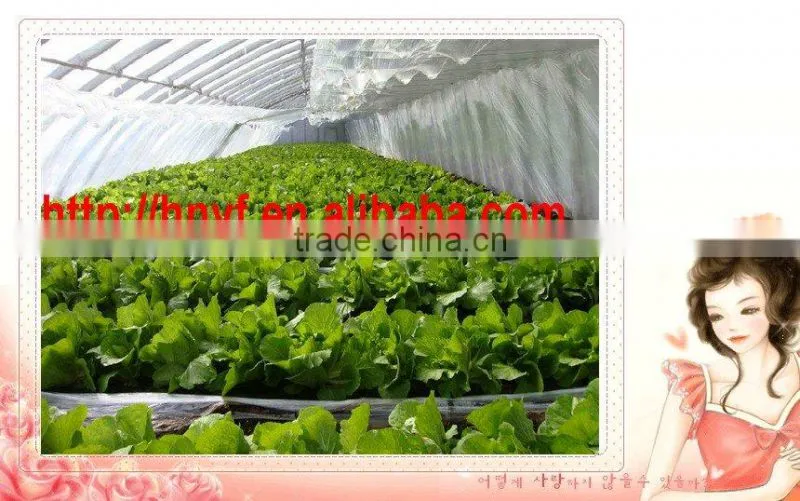 Anti-UV Greenhouse Film