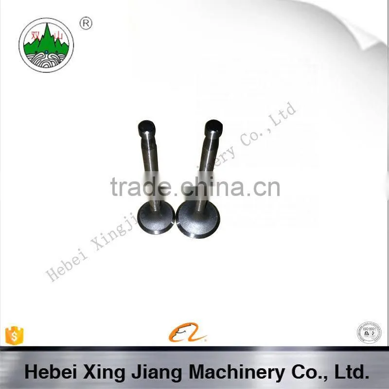 Hebei Diesel Engine Parts S195 Valve For Diesel Walking Tractor Parts
