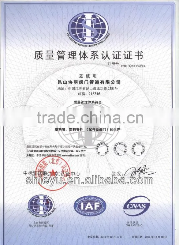 Single Union Ball Check Valve
