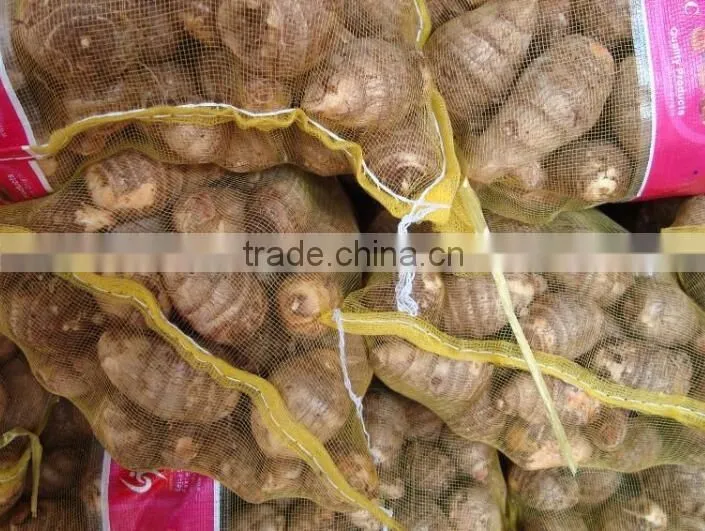 Chinese fresh taro root at low price
