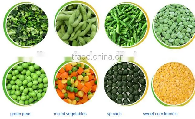 Frozen pumpkin Peeled Organic IQF frozen pumpkin price from China