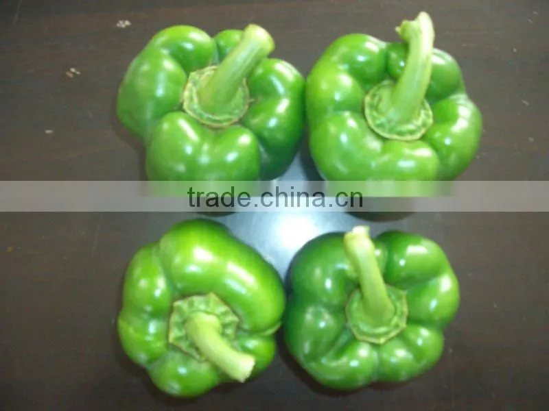 FRESH GREEN PEPPER