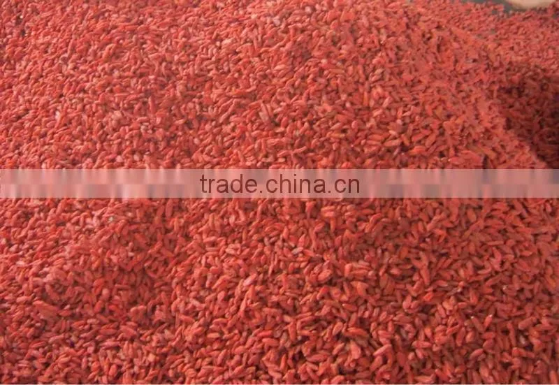 dried wolfberry