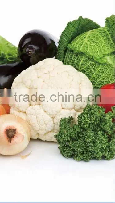 high quality frozen Potato dices/chunks 2015 best price