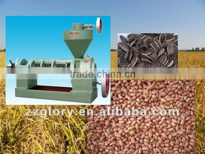HOT SALE 6YL-120 Oil press