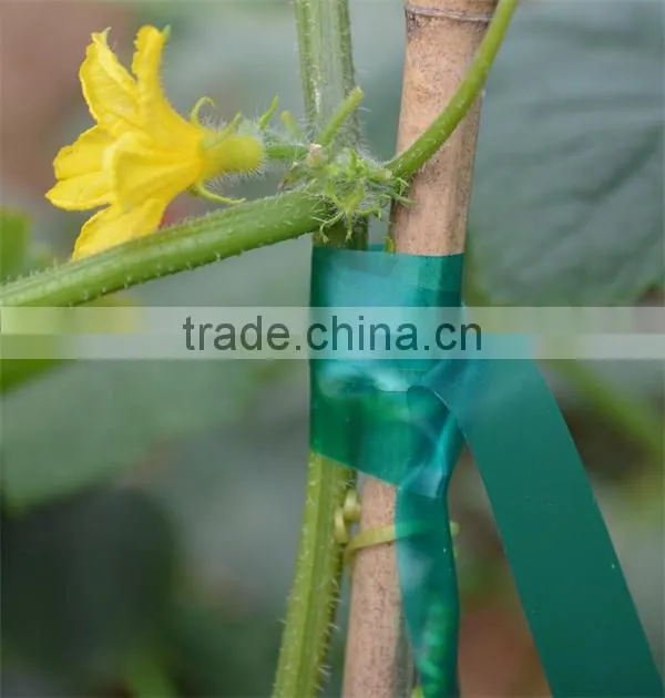 Colorful PVC Plastic Garden Tape