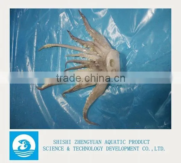 Frozen Argentina Illex squid Tentacles