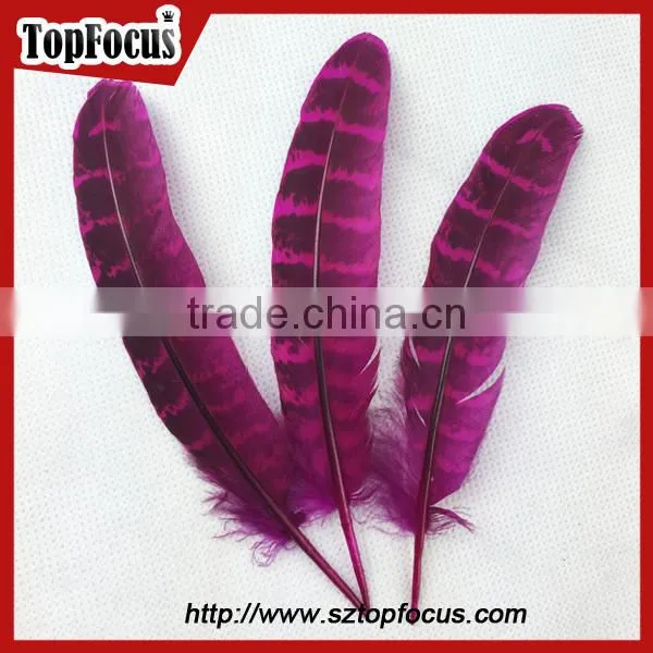 comfortable Ornate short prom dresses with fly tying pheasant feathers
