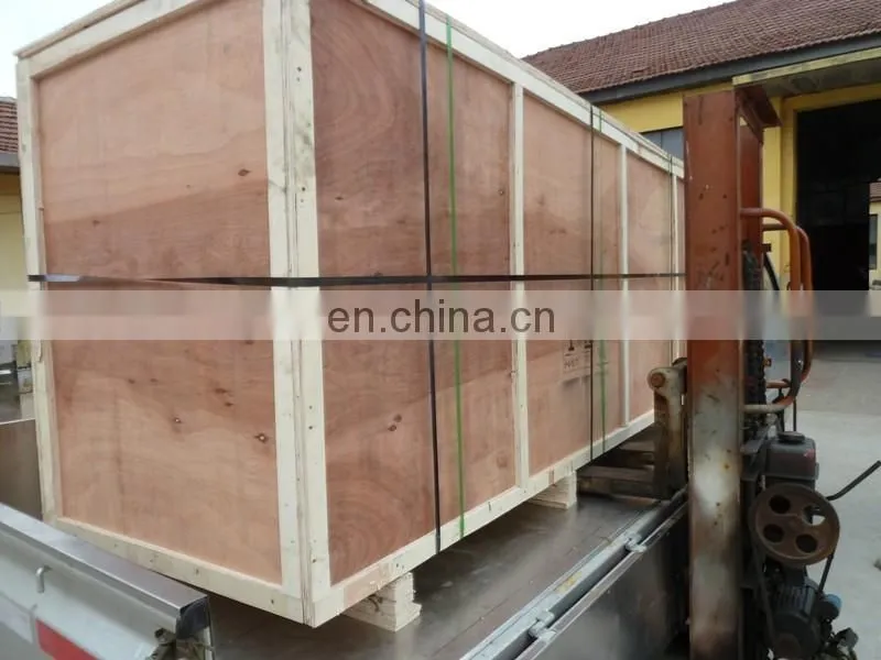 Fruits and Vegetables Washing machine, air and water bubble vegetable washing machine