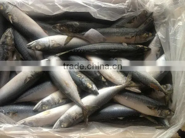 Among meat raw materials processing
