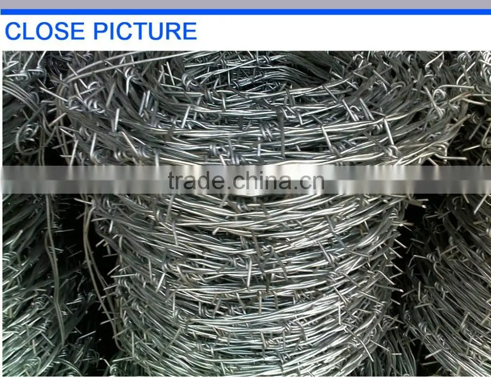 safety reliable quality hot dipped galvanized barbed wire