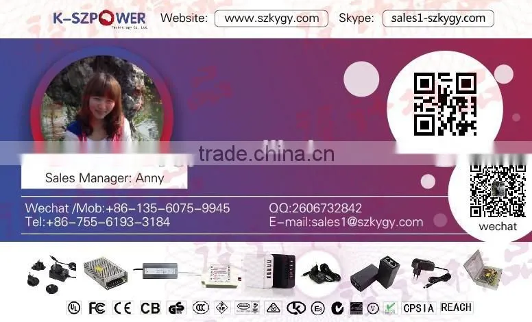 AC 12W 5V 2.4A USB power adapter with CN/EU/UK/US plug