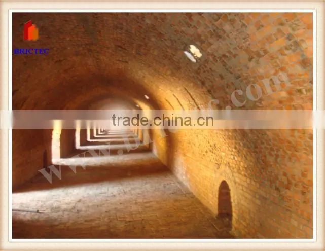 Auto linea de produccion de ladrillo con horno automatic hollow brick making machine