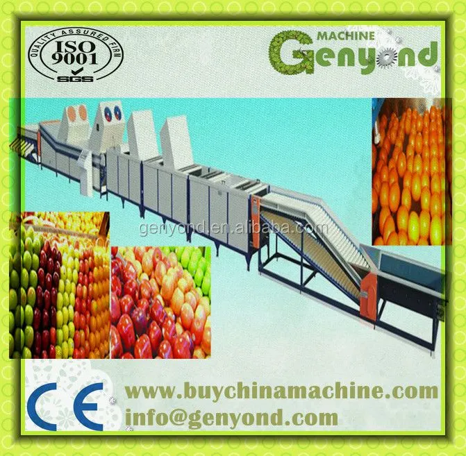 Citrus Waxing Machine Fruit Washing and Waxing Machine Fruit Waxing Machine