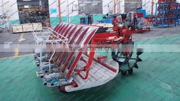 Factory price rice planting machine for sale to Ecuador, Nigeria