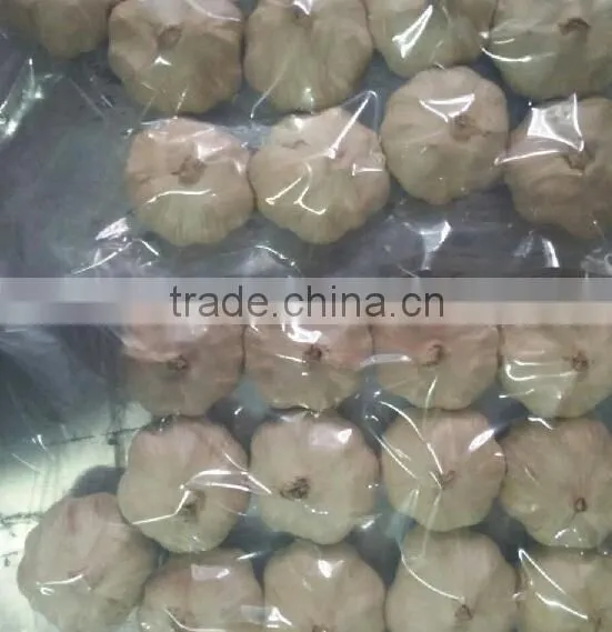 black garlic