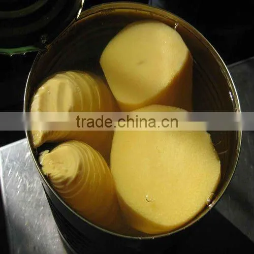 bamboo shoot slice in brine
