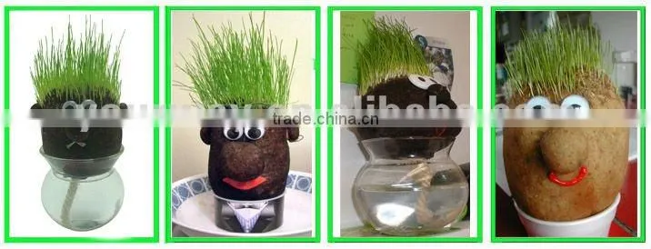 Growing grass doll,grass head,grass doll