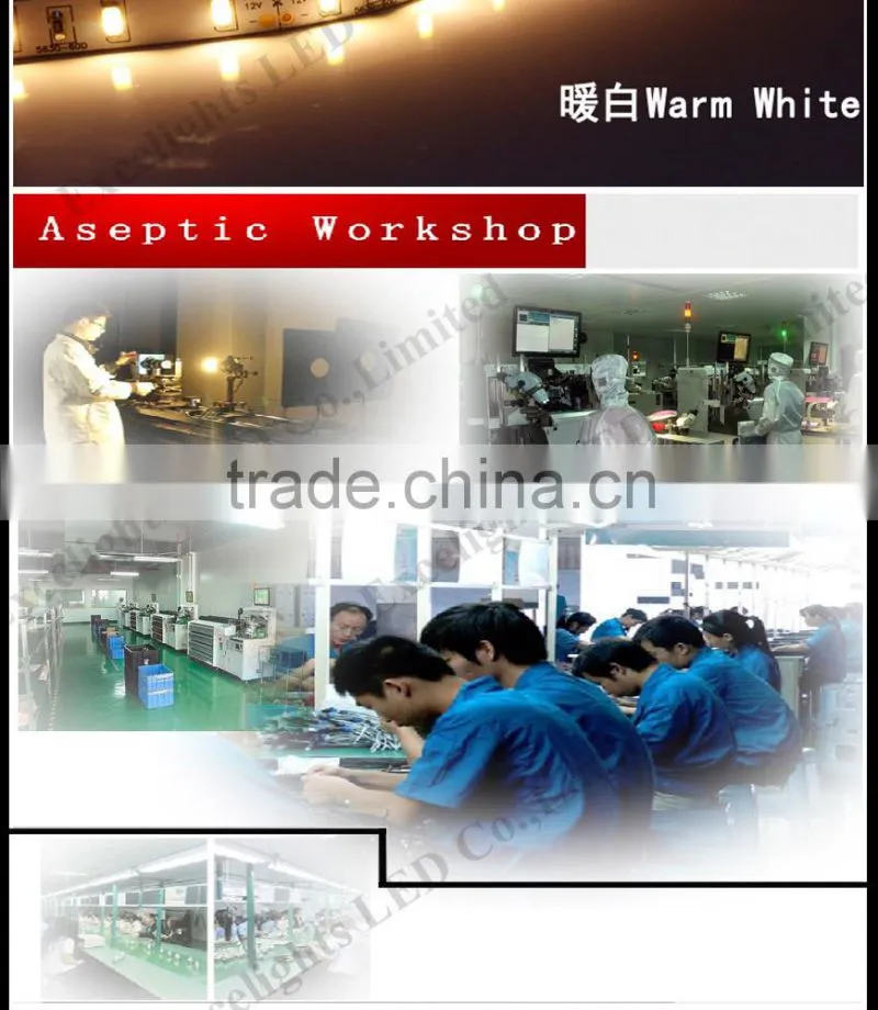 China Factory Directly Sales 60leds/m 5050 flexible led strip light