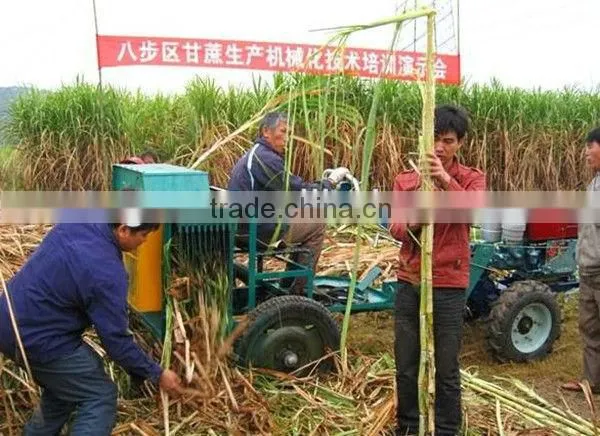 Small agricultural cane leaf remover 6BZ-15 new sugar cane leaf cutting machine