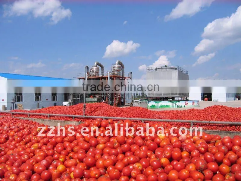 Caned Tomato Ketchup Choice Recipes