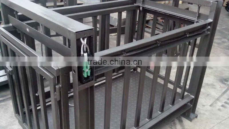 cattle scale
