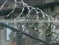 razor barbed wire(factory)