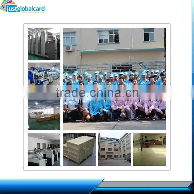 PVC novelty Contact Smart Card